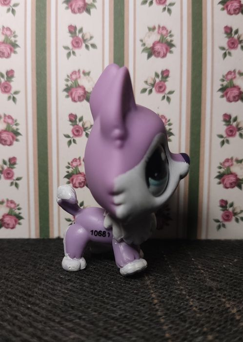 Lps littlest pet shop хаскі