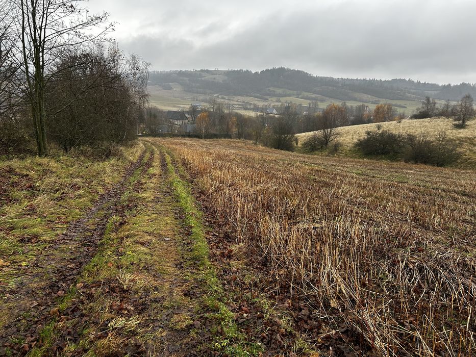 Sprzedam 2 działki w Gostkowie 1,38 i 0,301 ha