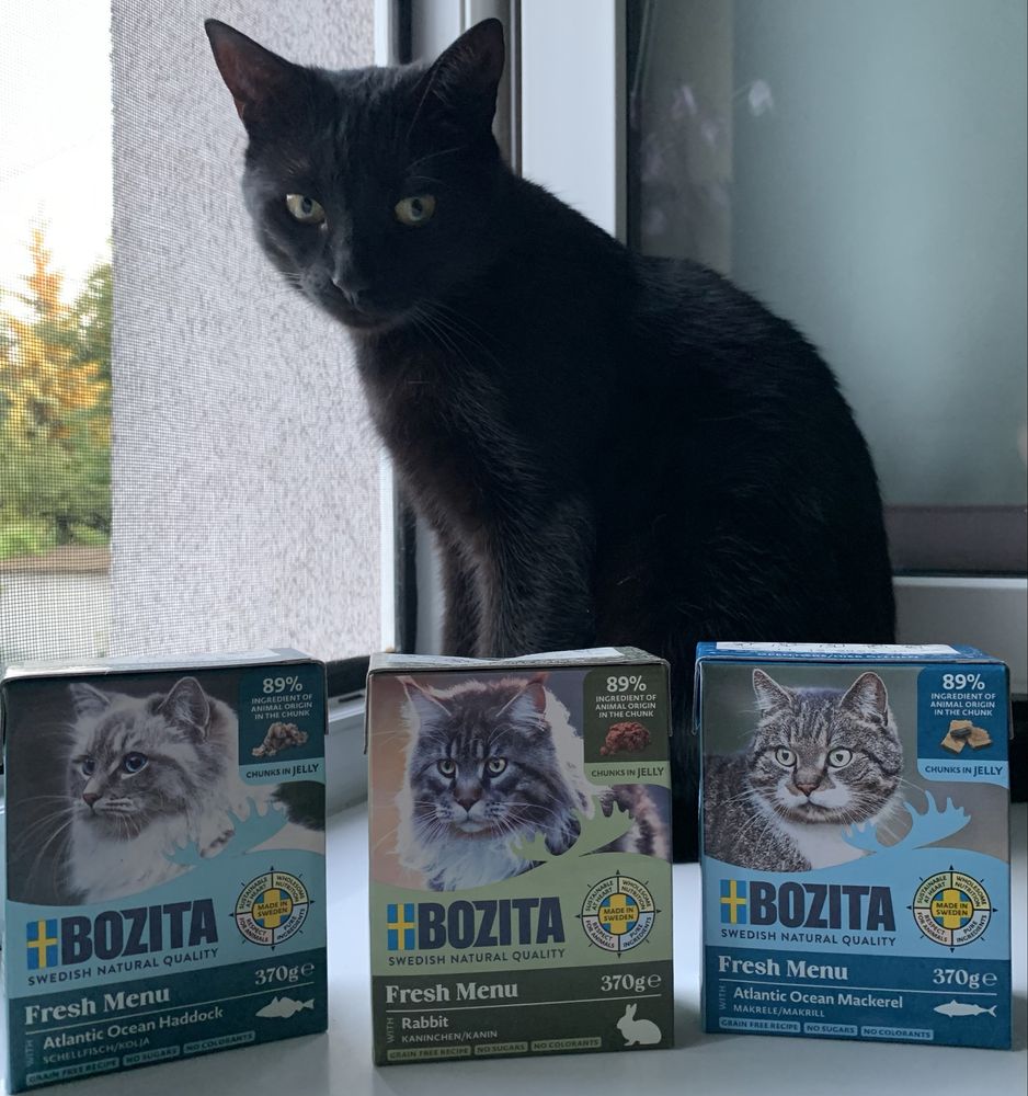 Karma mokra Bozita