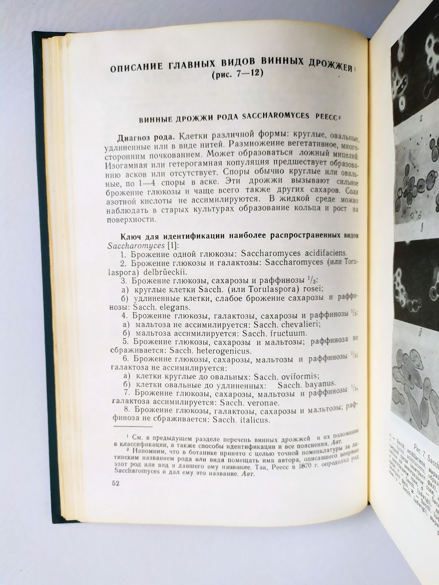 ПРИГОТОВЛЕНИЕ ВИН Франция технология брожения виноделие руководство