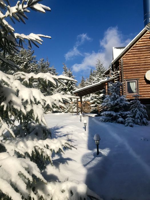 Затишний котедж на 6-8 гостей с гарним розташуванням біля лісу