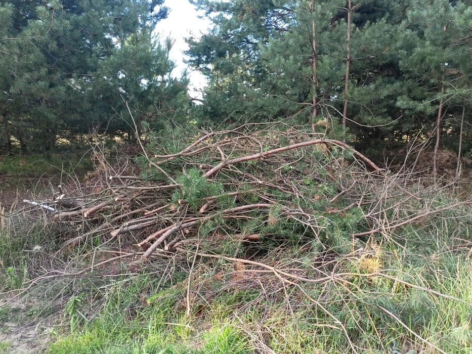 Gałęzie do rębaka lub na opał