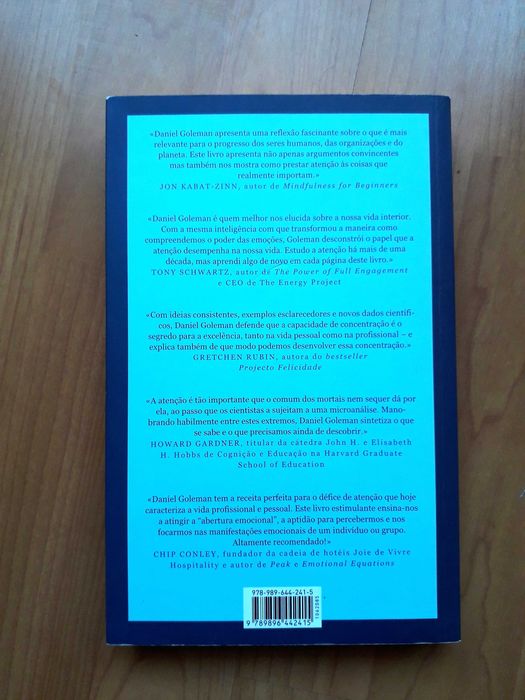 Foco - Daniel Goleman