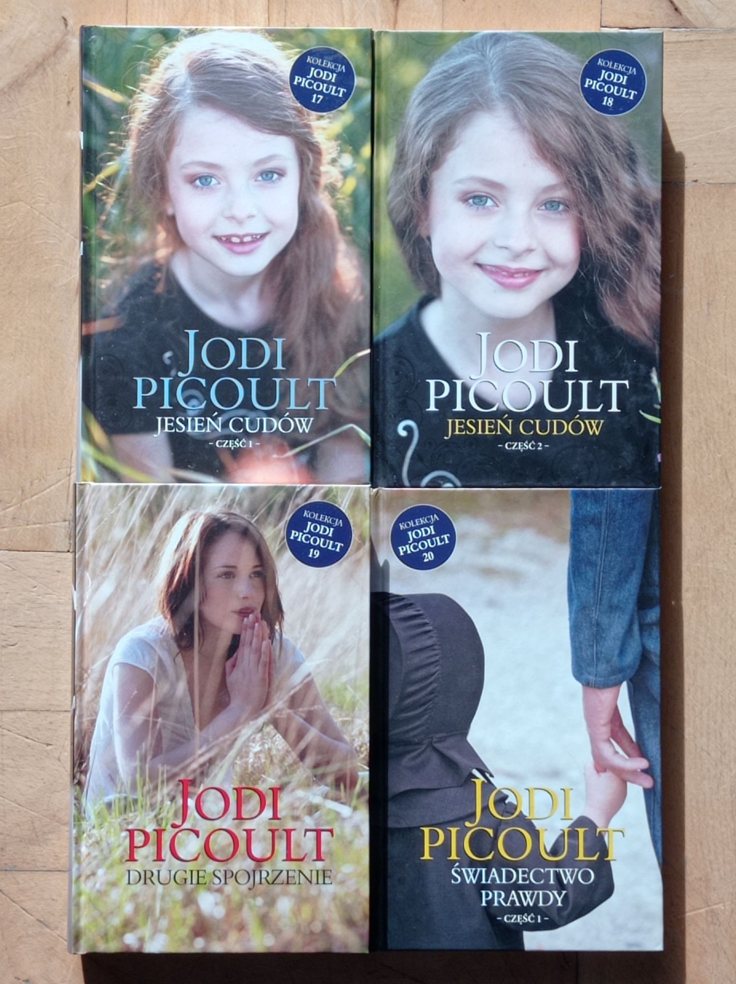 Jodi Picoult kolekcja 26 tomów komplet