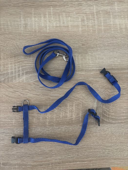 Поводок для кота в хорошому стані