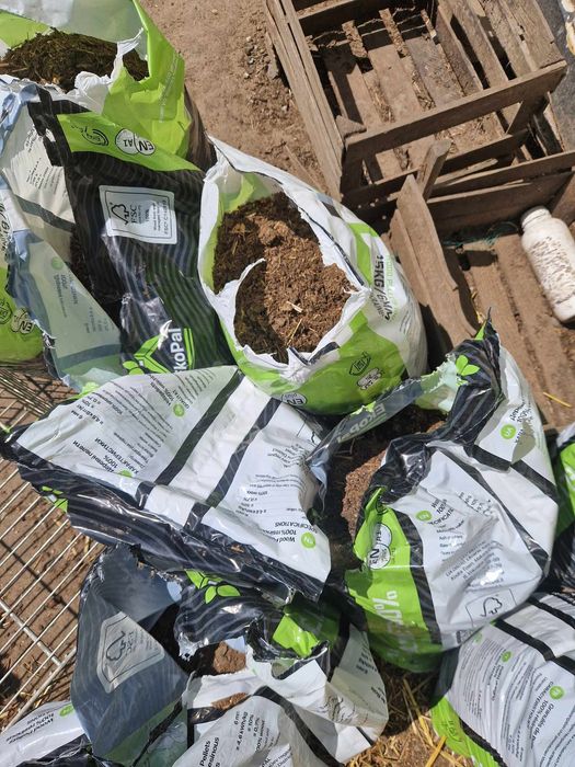 Obornik kurzy na działkę