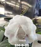 Предлагаю клубни глоксиний,