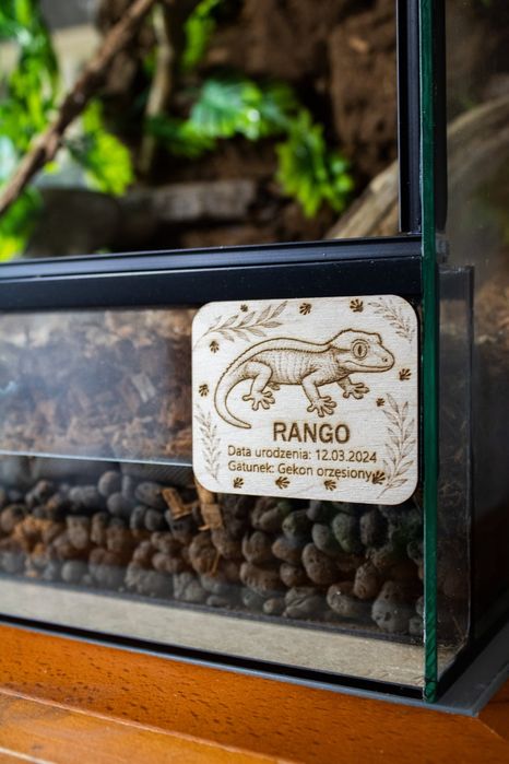Terrarium 45x45x60 dla gekona orzesionego