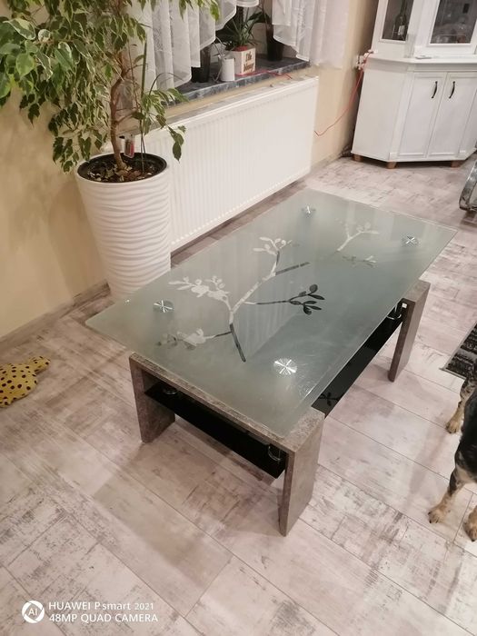 Ława do salonu szkło