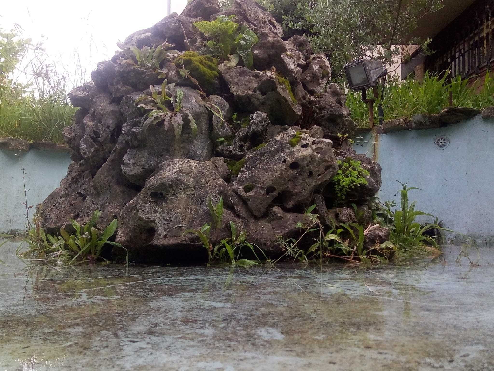 Troco peixes de lago agua fria por peixes de lago grandes ou pequenos