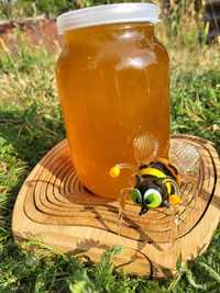Продам свіжий мед, дуже смачний, з власної пасіки!