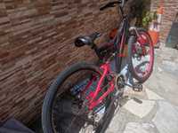 Vendo dirt jump pro