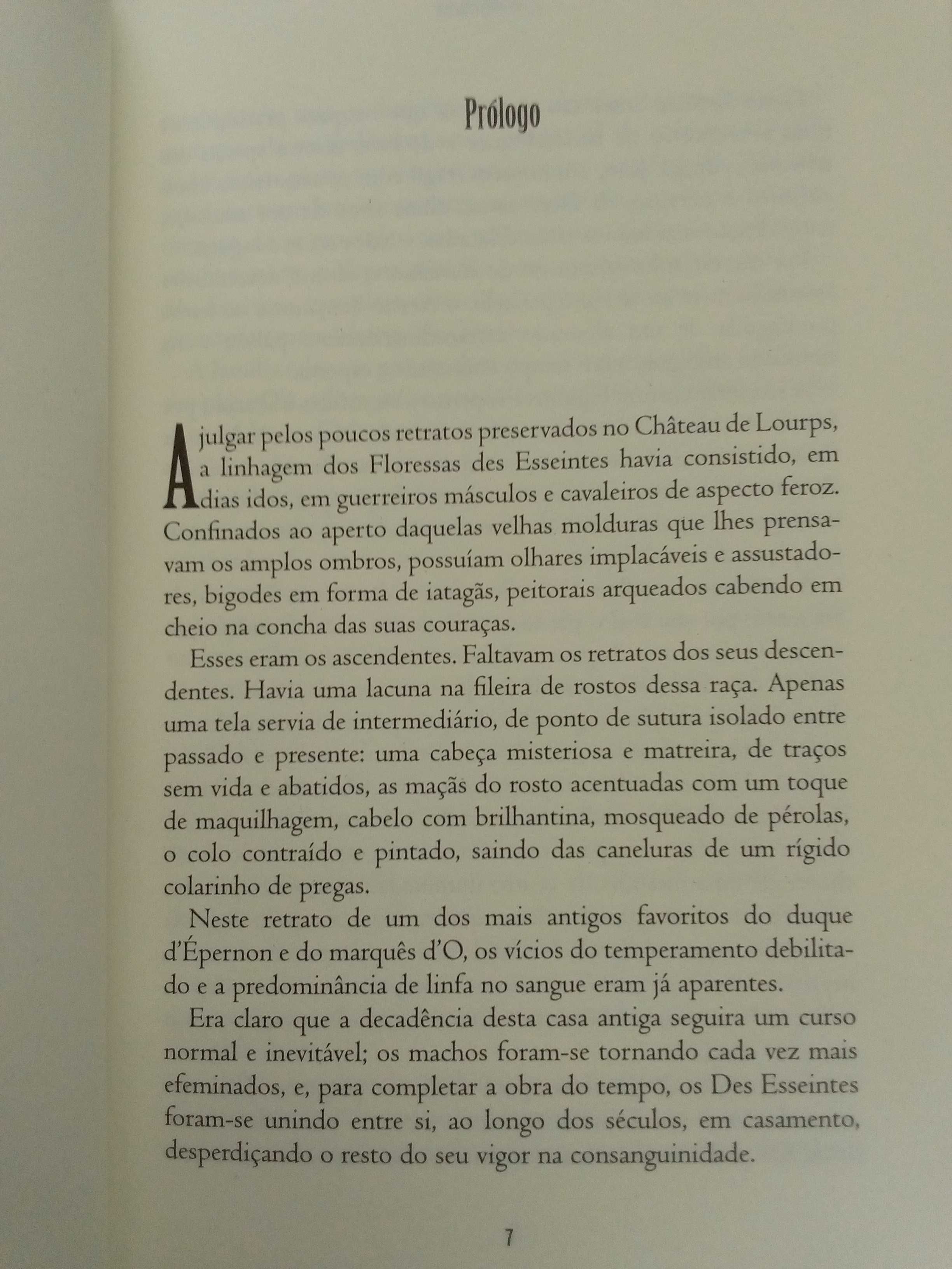 J. -K. Huysmans - Ao arrepio