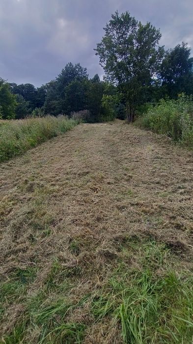 Karczowanie koszenie działek budowlanych, traw, samosiejek, rowów