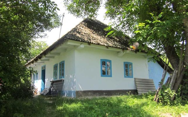 Будинок в селі Поляна, що на Хотинщині, в 7 км від Дністра, 60 соток