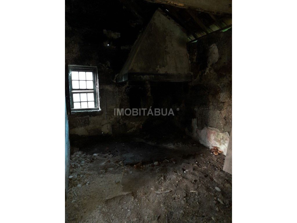 Quinta de Mirtilos com mais de 3 Hectares, localizada perto de Tondela