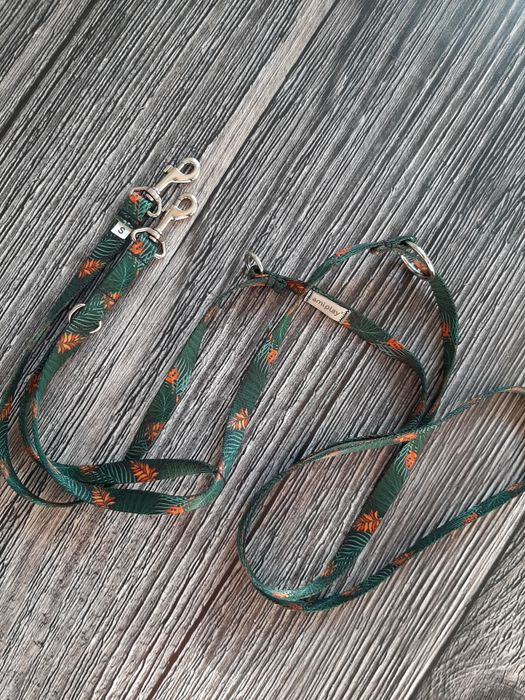 Повідець, повідок, для собачки р S, ami play