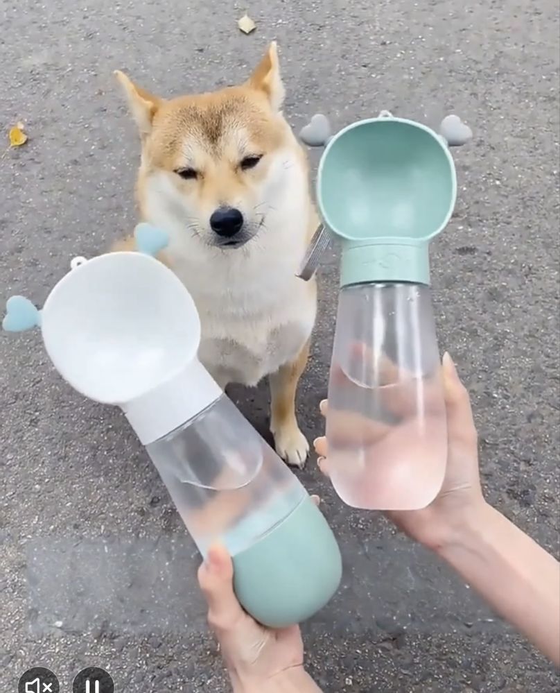Поїлка для песика