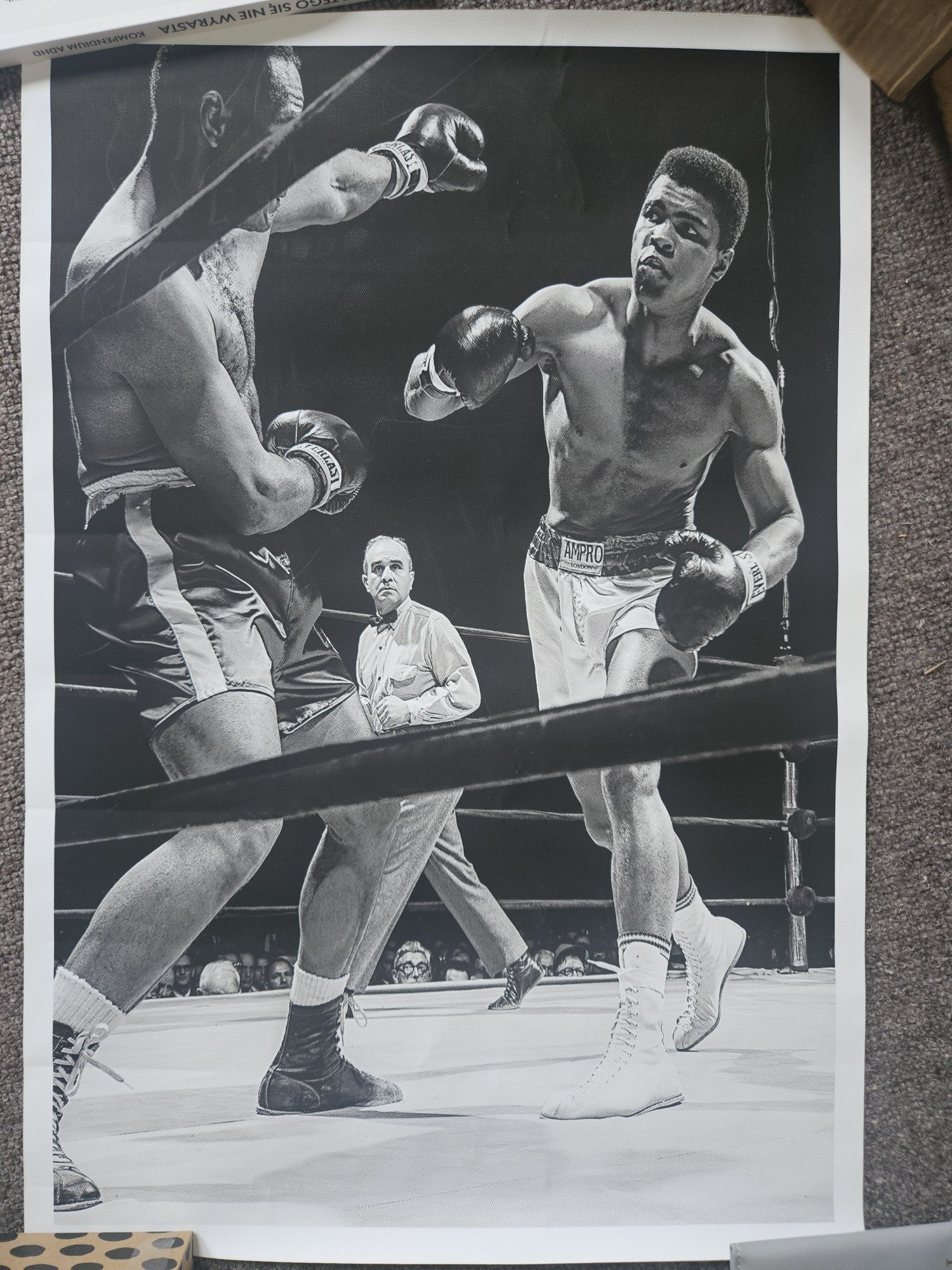 Nowa obraz na płótnie Muhammad Ali 60 x40 xm