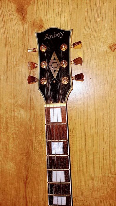 Електрогітара Anboy LP Custom ALC-500, FujiGen Gakki.