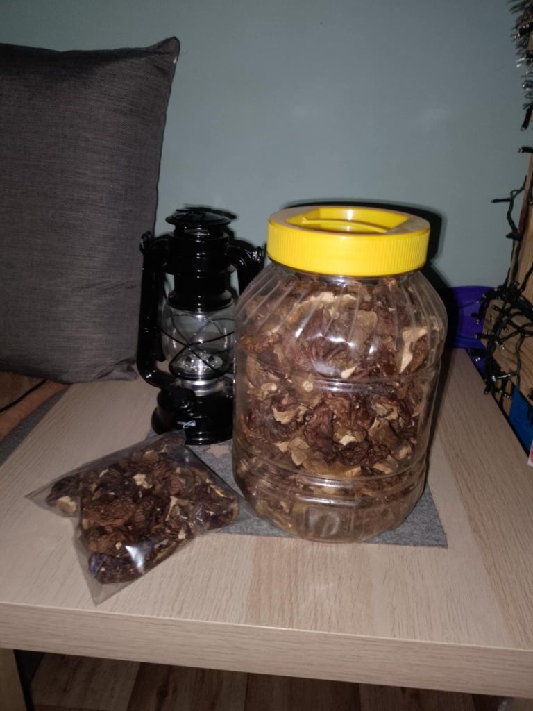 suszone grzyby (podgrzybek)