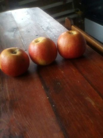 Продаю яблоки красные и другие сорта