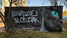 Animacje na Ścianie - Murale, Street art, Graffiti artystyczne
