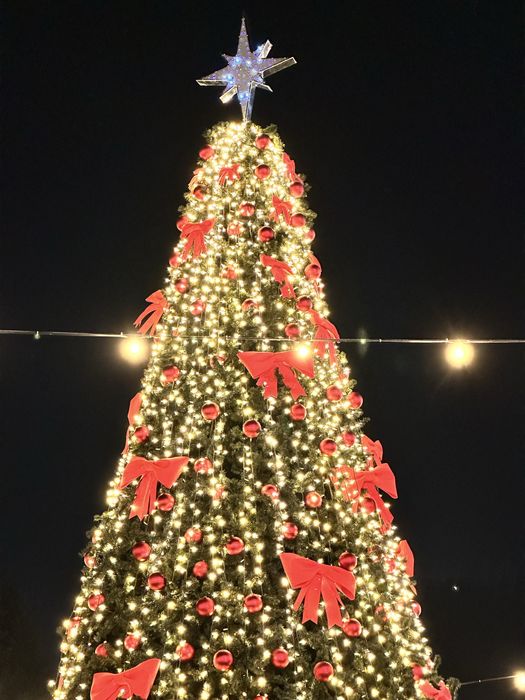 Будинок в оренду . Корпаративи, День Народження, Новорічні свята