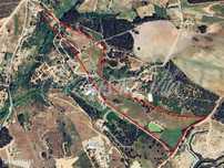 Quinta de sonho com 6,5ha no Vale Juncal a 10 min da Praia - São Te...