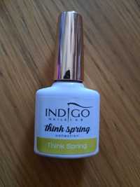 Lakier hybrydowy Indigo Think Spring Collection