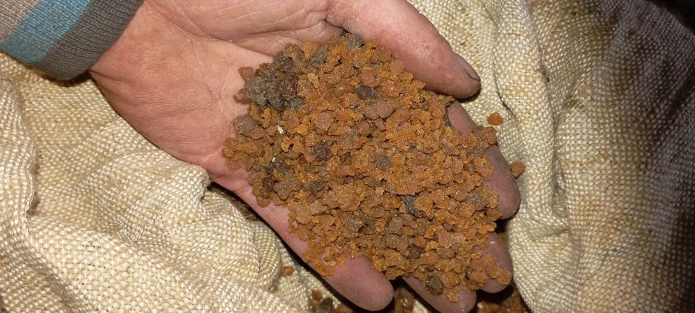 Продам казеїновий клей жемчужный,