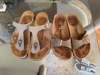 Birken em bom estado