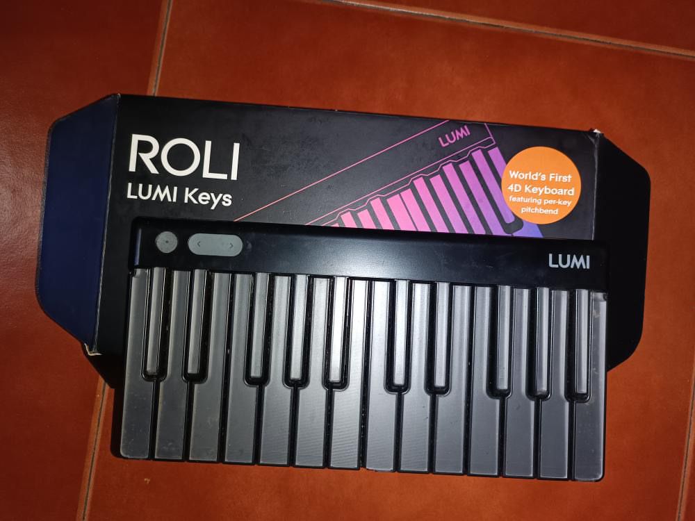 Launchpad pro + Roli Lumi Keys