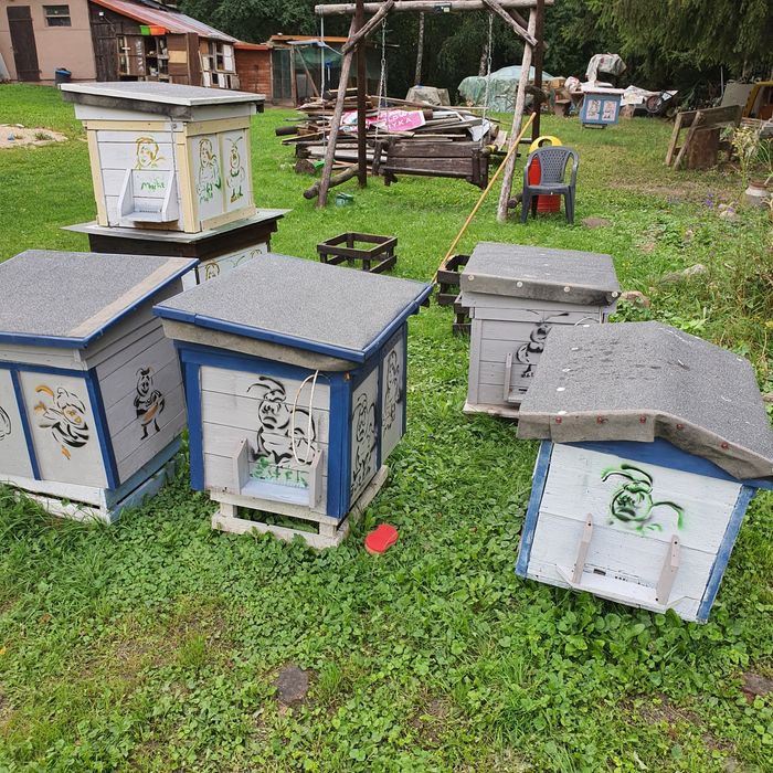 Ule dadnt stan bardzo dobry