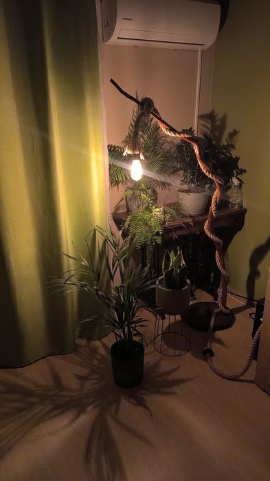 Lampa rarytas vintage z gałęzi