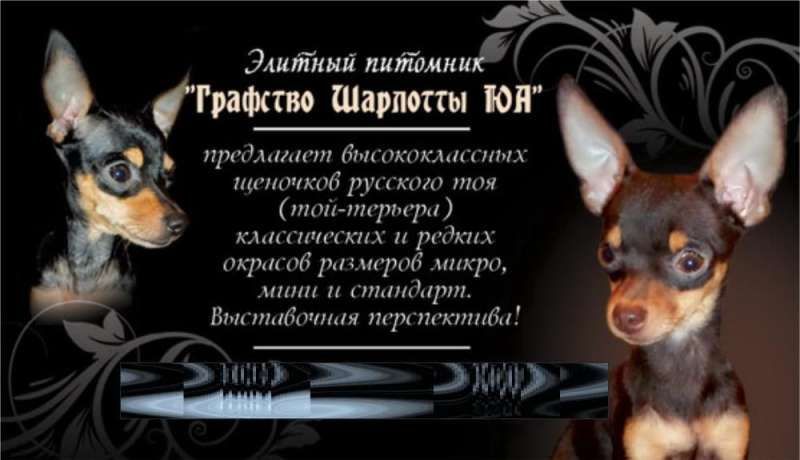 ПитомникКСУ! Отличное соотношение"цена-качество"! Мальчик 2 мес.20дней