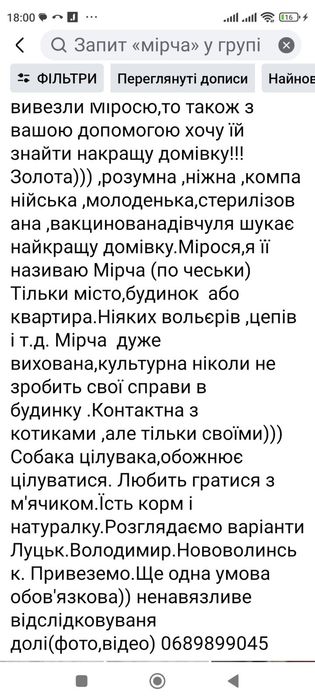 Стерилізована собака в самі добрі руки