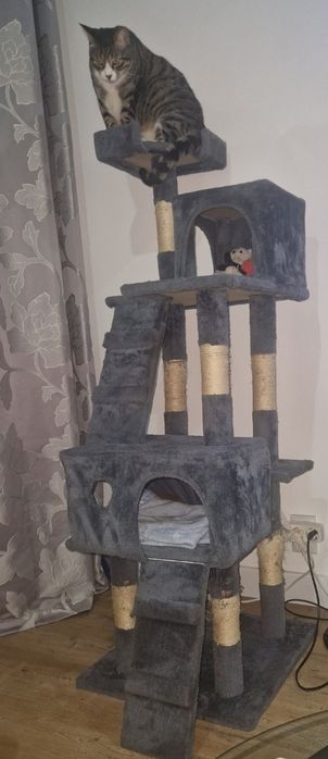 Arranhador para gatos 1,45mt altura