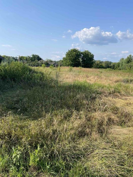 Земельна ділянка