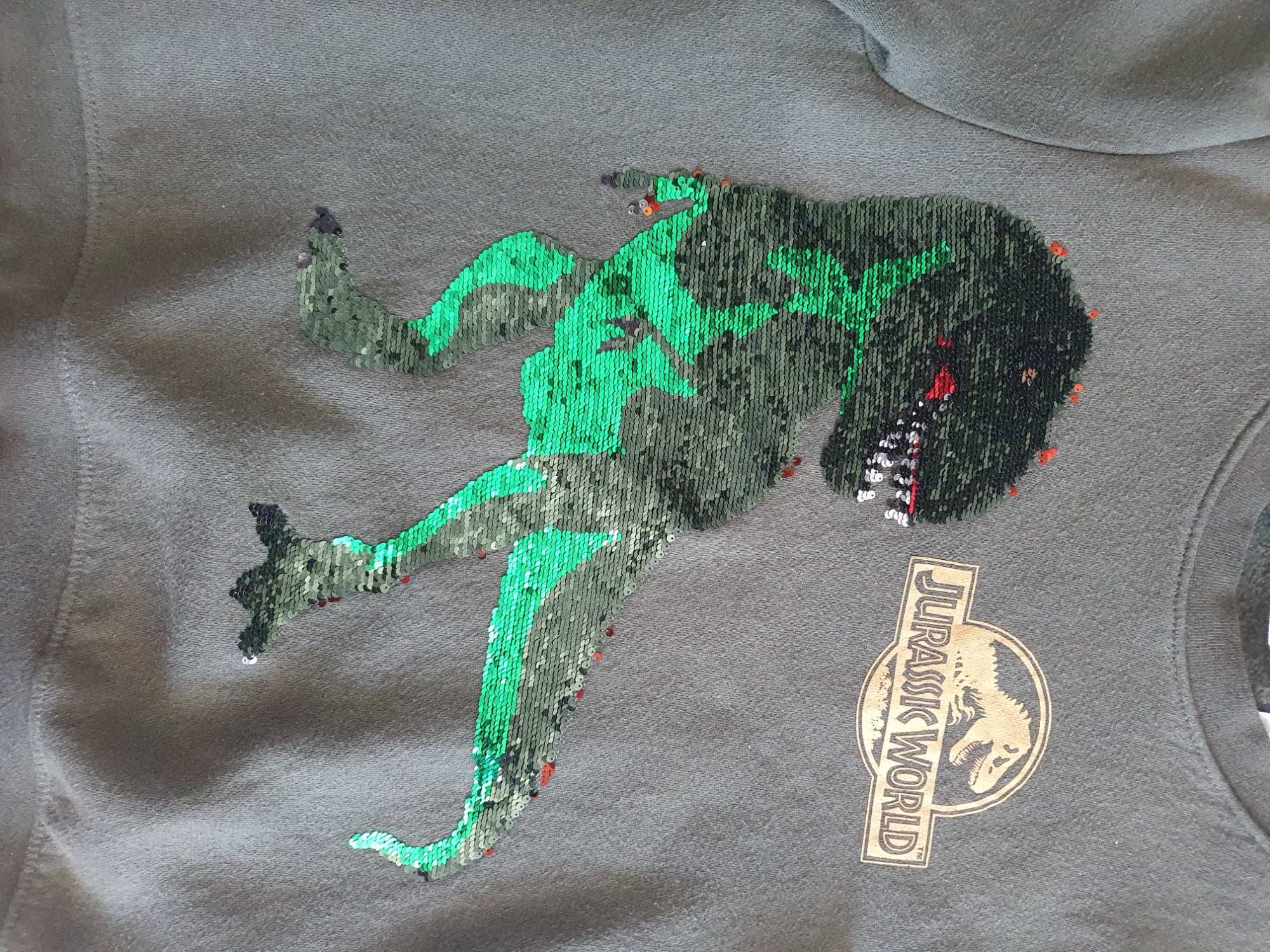 Bluza dinozaur odwrwcane cekiny H&M + T-shirt