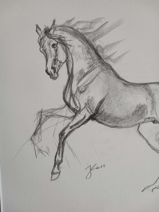 Joanna Kossak - ogier - rycina - szkic kredką