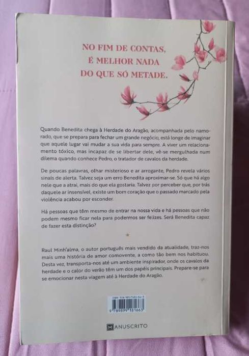 Fomos Mais do que um Erro - Raul Minh'alma