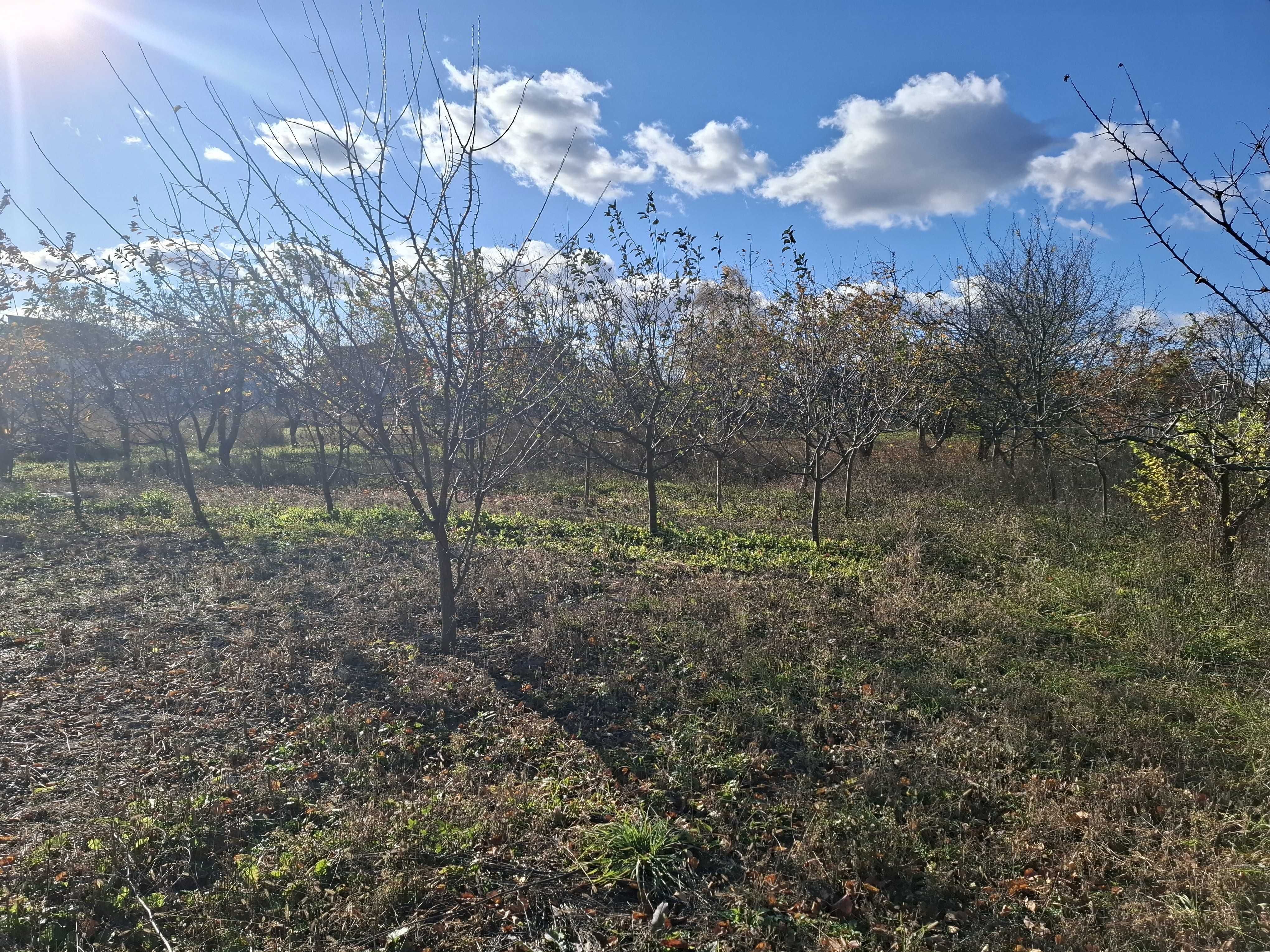 Без комісії продам ділянку у передмісті Вінниці, Зарванці
