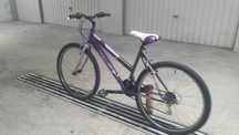 Bicicleta Senhora