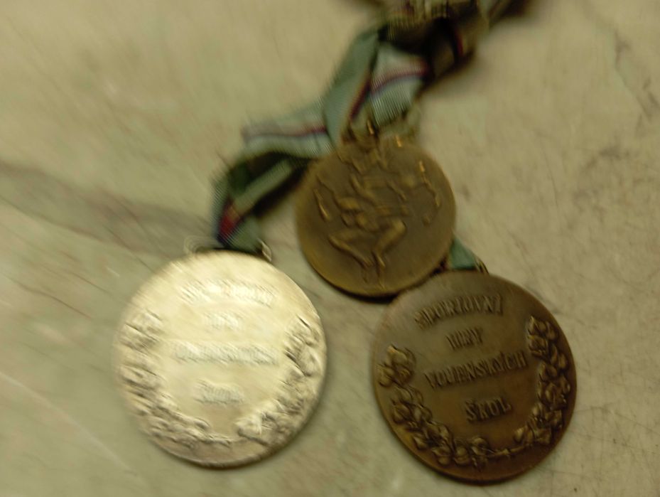 porządki domowe medale