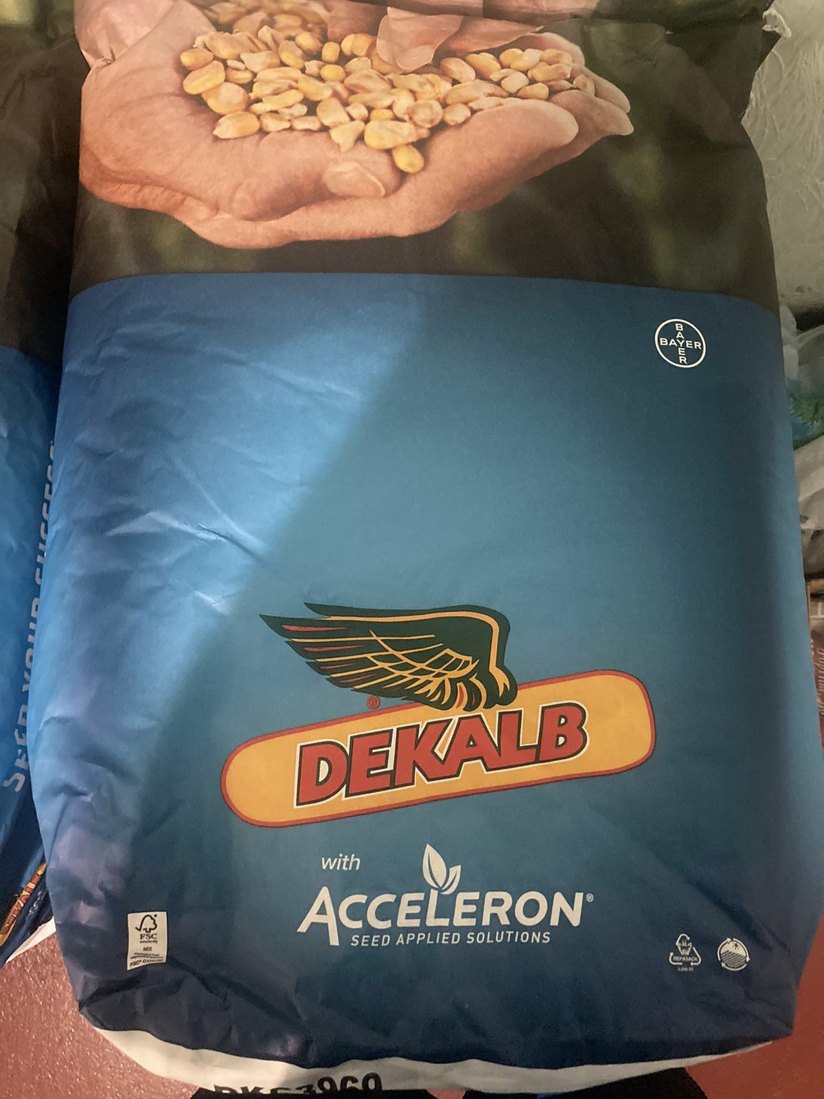 Продам кукурудзу Dekalb дкс 3969