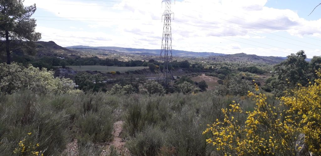 Quinta 14,5 hectares