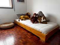 Cama Montessori Empilhavel 90