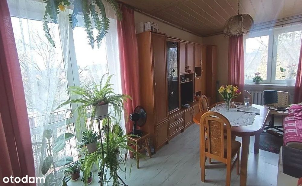 Do wynajęcia jasne mieszkanie – 27,6 m², Czarny Bór