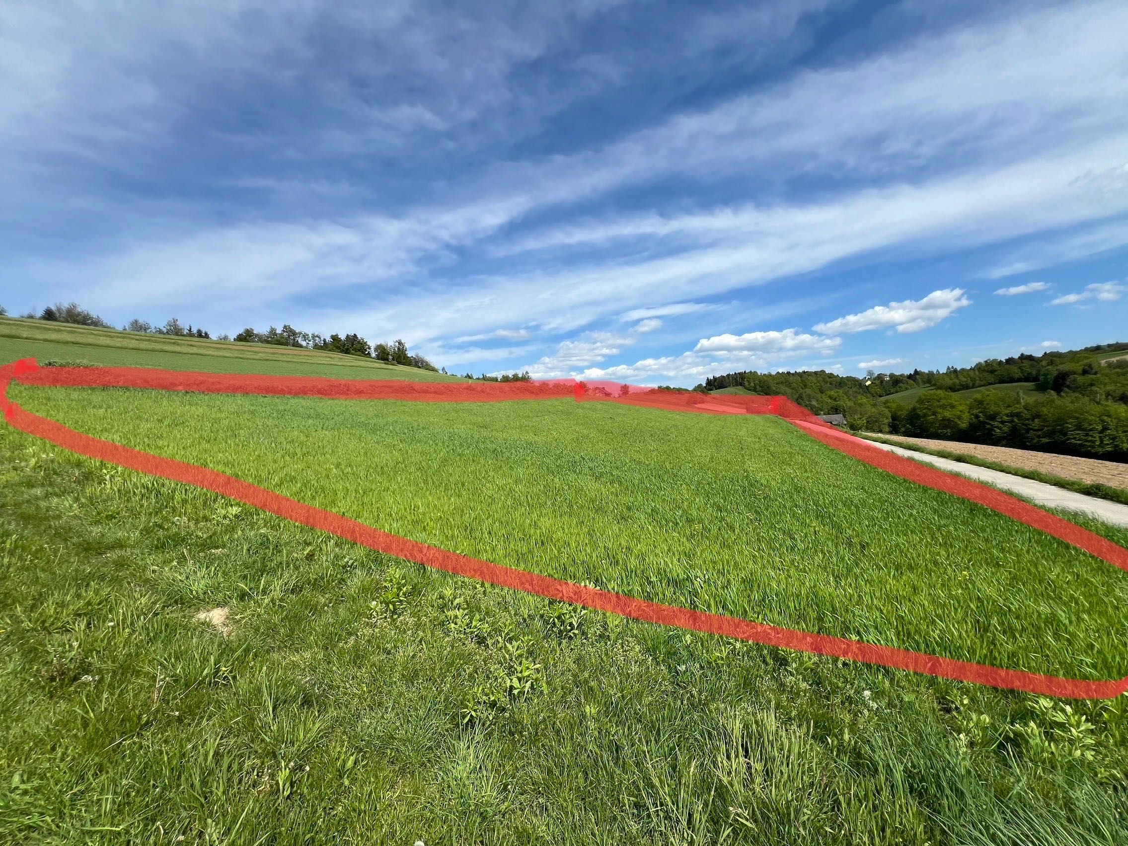 Działka 31 arów nad Jeziorem  Rożnowskim gmina Gródek nad Dunajcem